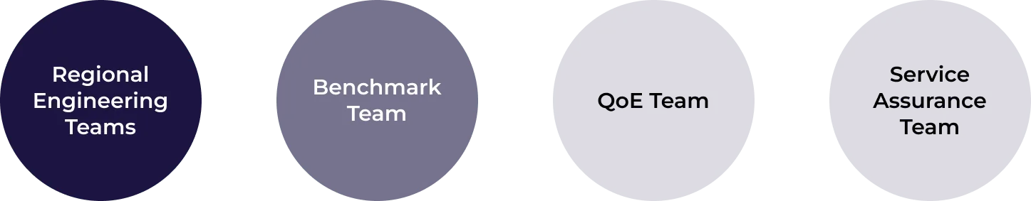 Cross-functional team structure